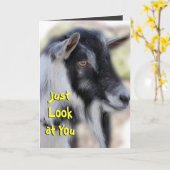 Carte BaileyLookatYou-customisez toute occasion (Fleur jaune)