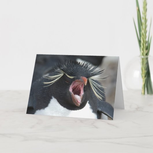 Carte Bâillement de Rockhopper (Devant)