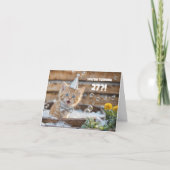Carte Bain moussant pour chaton roux mignon pour 27e ann (Devant)