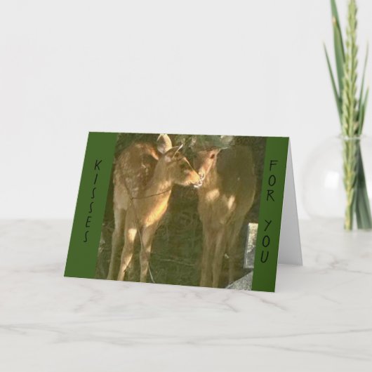 CARTE **BAISER D'ANNIVERSAIRE** DE VOTRE PART S'IL VOUS (Devant)