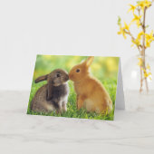 Carte Baiser de lapin (Fleur jaune)