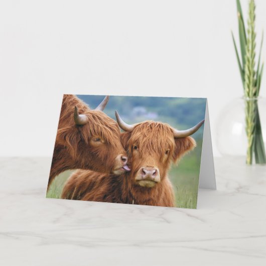 Carte Baiser de vache Highland pour anniversaire (Devant)