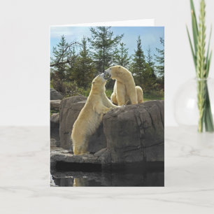 Carte Baiser les ours polaires