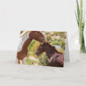 Carte Baisers de Maman (Devant)