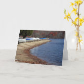 Carte Balayage de Shore (Fleur jaune)