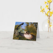 Carte Balbuzard en vol (Fleur jaune)