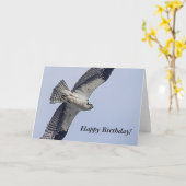 Carte Balbuzard en vol (Fleur jaune)