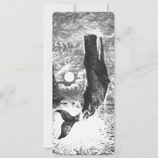 Carte Baleine vintage, Vie Marine Animaux (Devant)