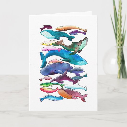 Carte Baleines, dauphins et marsouins (Devant)