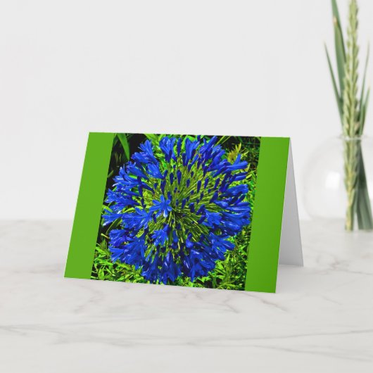 Carte Ball à fleurs bleues (Devant)