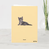 Carte Ballons à air chaud Tabby (Dos)