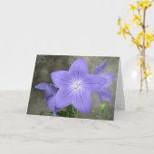 Carte Balloon Flower (Fleur jaune)