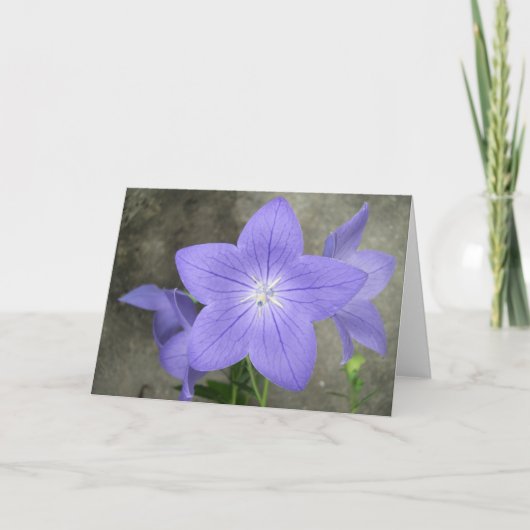 Carte Balloon Flower (Devant)