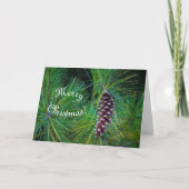 Carte Balsam PIne Holiday (Devant)