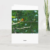 Carte Baltimore Oriole, anniversaire (Dos)