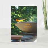Carte Baltimore Oriole, anniversaire (Devant)
