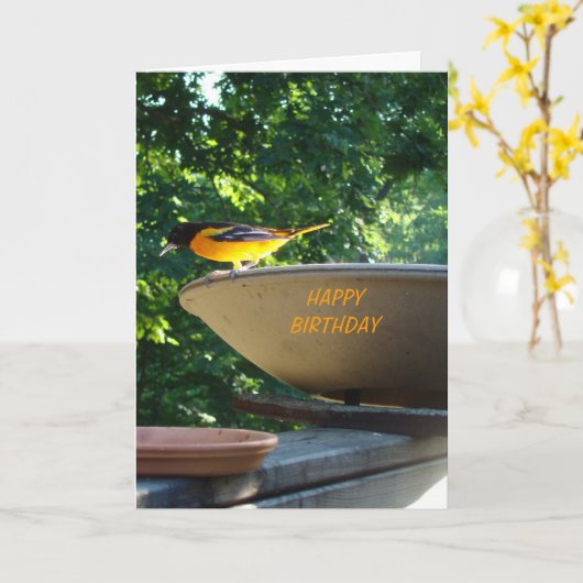 Carte Baltimore Oriole, anniversaire (Fleur jaune)