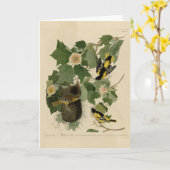 Carte Baltimore Oriole - d'Audubon's Birds of America (Fleur jaune)