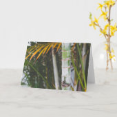 Carte Bambou du Mexique (Fleur jaune)