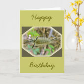 Carte Bande Tussock Moth Caterpillar (Fleur jaune)