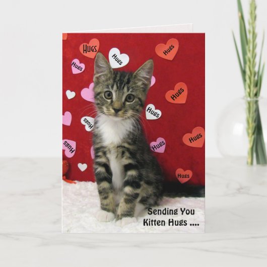 Carte Bandit's Kitten Hugs (3335) (Devant)