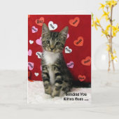 Carte Bandit's Kitten Hugs (3335) (Fleur jaune)