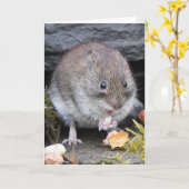 Carte Bank vole scotland (Fleur jaune)