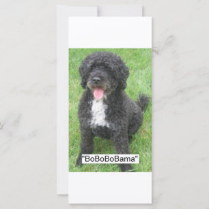 Carte Barack Obama Portugais Water Dog
