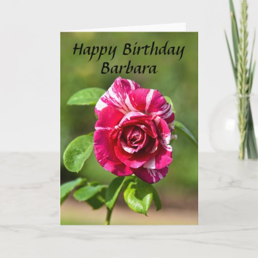 Carte Barbara Dark Rose et blanche Rose rayé, Anniversai (Devant)