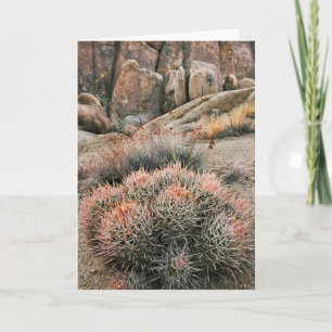 Carte Baril Cactus En Californie