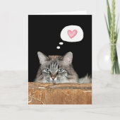 Carte Barn Cat Penser à vous (Devant)