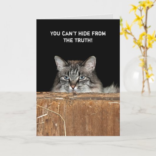 Carte Barn Chat dans le foin d'anniversaire (Fleur jaune)