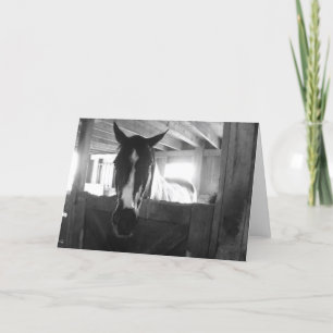 Carte Barn Horse