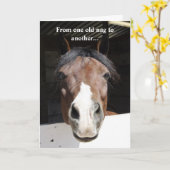 Carte Barn Horse, vieux nag, joyeux anniversaire (Fleur jaune)