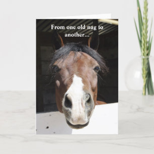 Carte Barn Horse, vieux nag, joyeux anniversaire