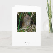 Carte Barn owl Ecosse (Dos)