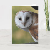 Carte Barn owl Ecosse (Devant)