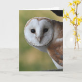 Carte Barn owl Ecosse (Fleur jaune)