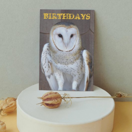 Carte Barn Owl Photo Funny Birthday Card