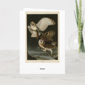 Carte Barn Owl (Tyto alba) Audubon's Birds of America (Dos)