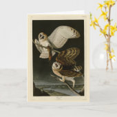 Carte Barn Owl (Tyto alba) Audubon's Birds of America (Fleur jaune)