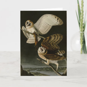 Carte Barn Owl (Tyto alba) Audubon's Birds of America