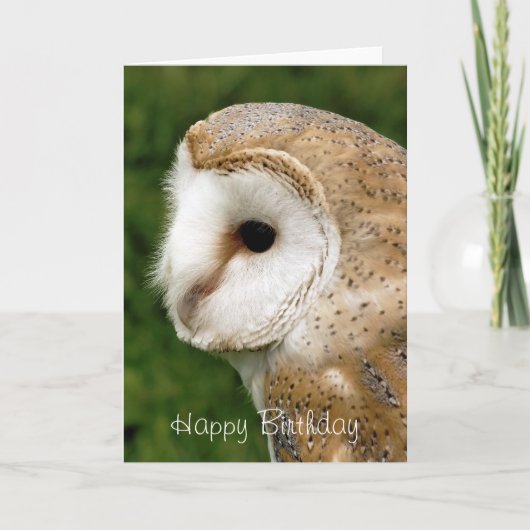 CARTE BARN OWLS (Devant)