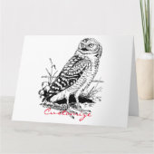 Carte Barne Owl Thunder_Cove (Devant)