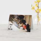 Carte BARNSTORMING RUSSELL TERRIORS DIT HEUREUX 40ème (Fleur jaune)