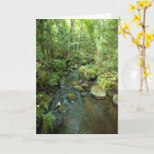 Carte "Barnum Brook" Forêt Adirondack et la scène des ar (Fleur jaune)