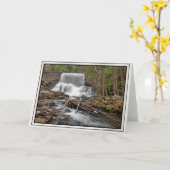 Carte Barrage de Stametz (Fleur jaune)