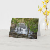 Carte Barrage de Stametz (Fleur jaune)