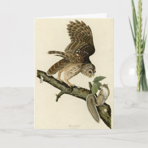 Carte Barred Owl, John James Audubon's Birds of America