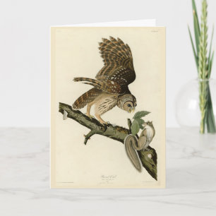 Carte Barred Owl, John James Audubon's Birds of America